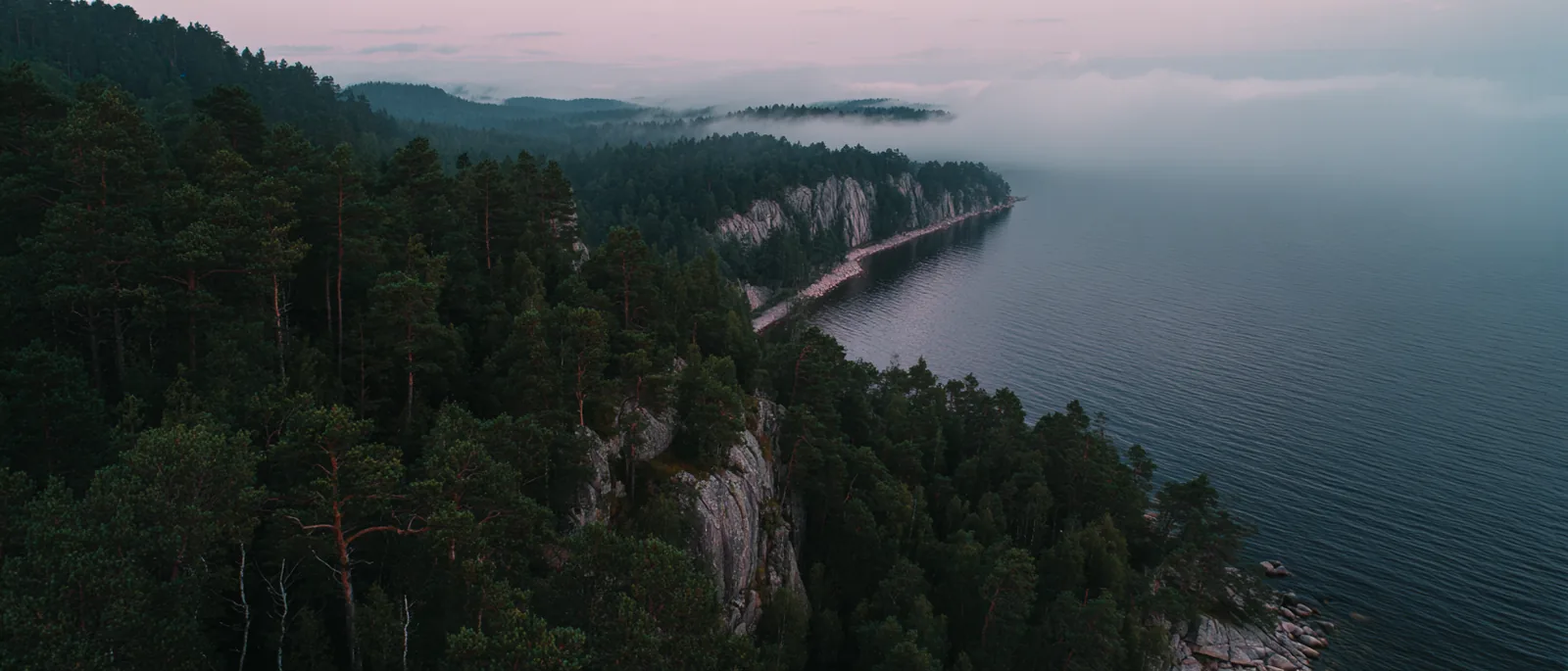 Aerial view of a pine-covered coastline with cliffs and fog over the sea at dusk