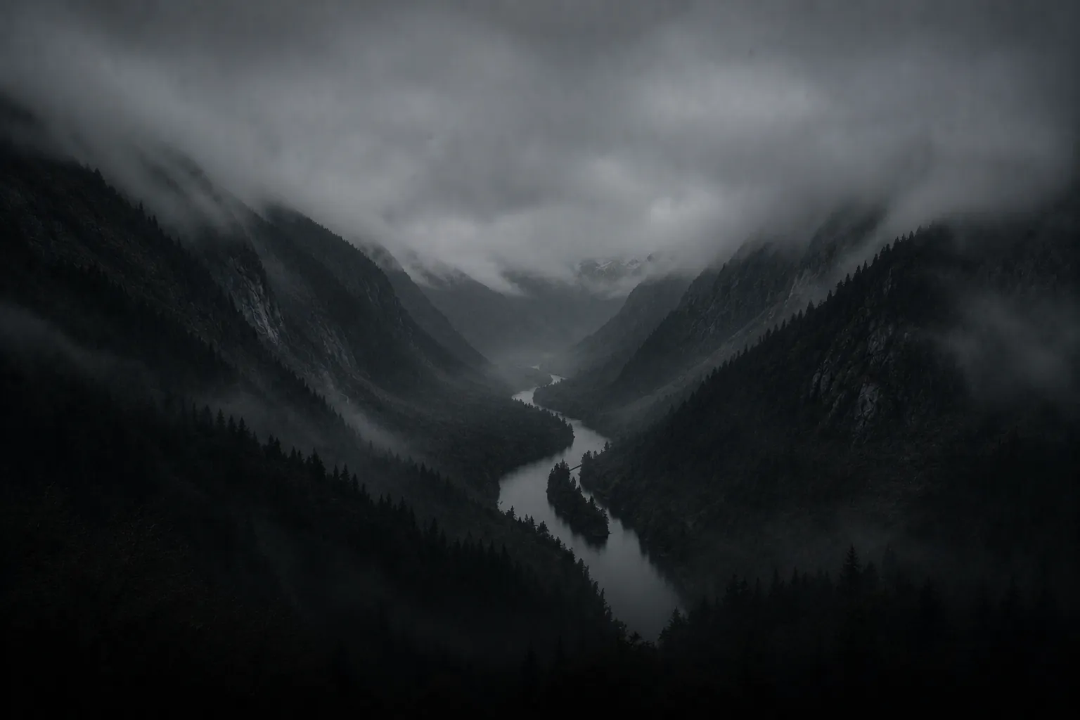 Forested river valley in fog